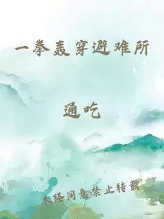 一拳轰穿避难所