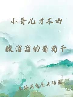 小哥儿才不凶